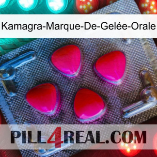 Kamagra-Marque-De-Gelée-Orale 13